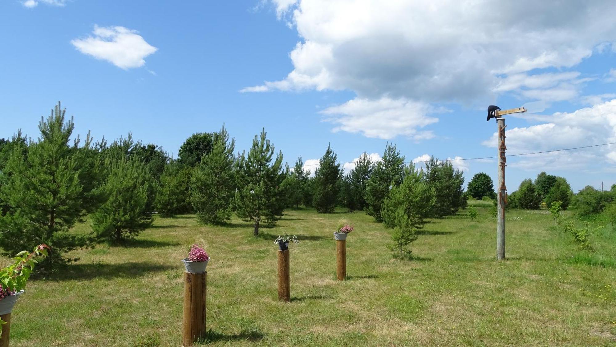 Kastani Camping Haapsalu Exterior foto